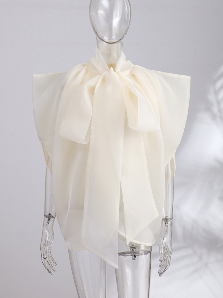 Mode Dames Top Mouwloos Strik  - Wrap Blouse Chiffon recensie en prijs